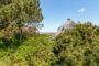 Exklusives Kampener Domizil unter Reet mit Terrasse und Meerblick - BILD